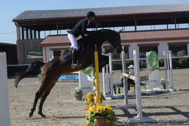 DSC_0341